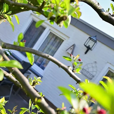 Sibbliem Luxury Homestay-3